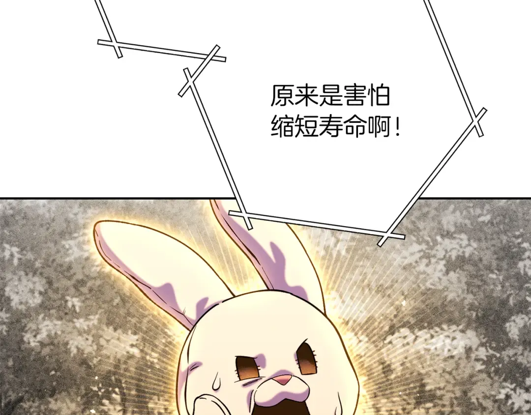第245话 终极之书的来历 第84页