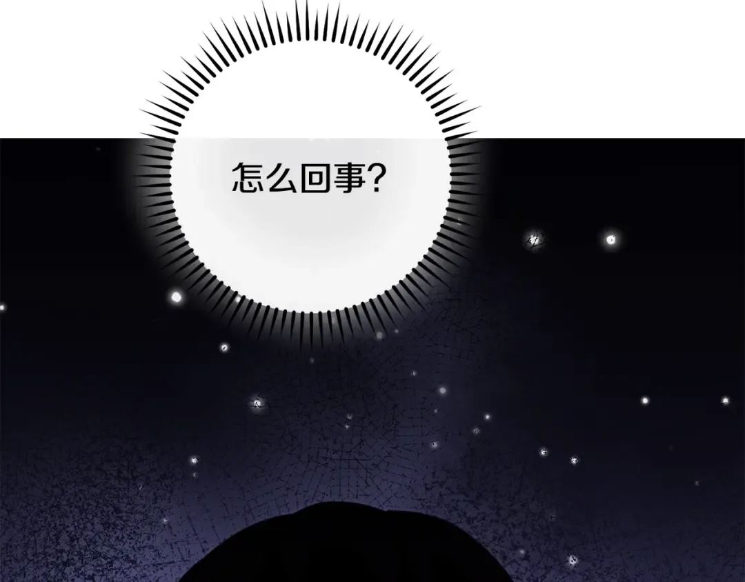 第247话 还有一个办法 第263页