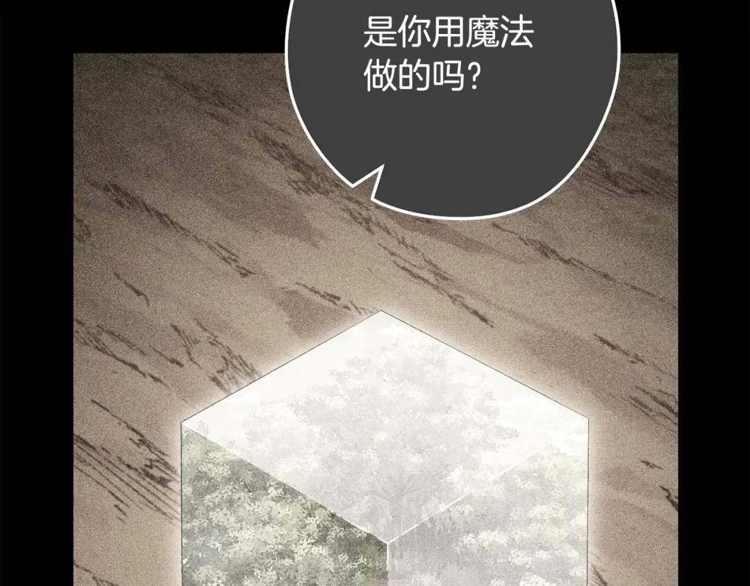 第250话 小小的奇迹 第103页