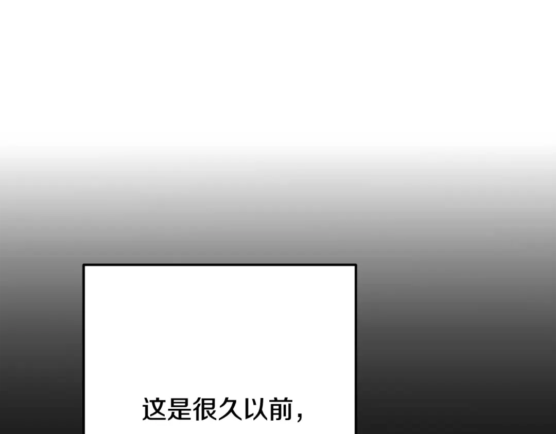 第250话 小小的奇迹 第244页