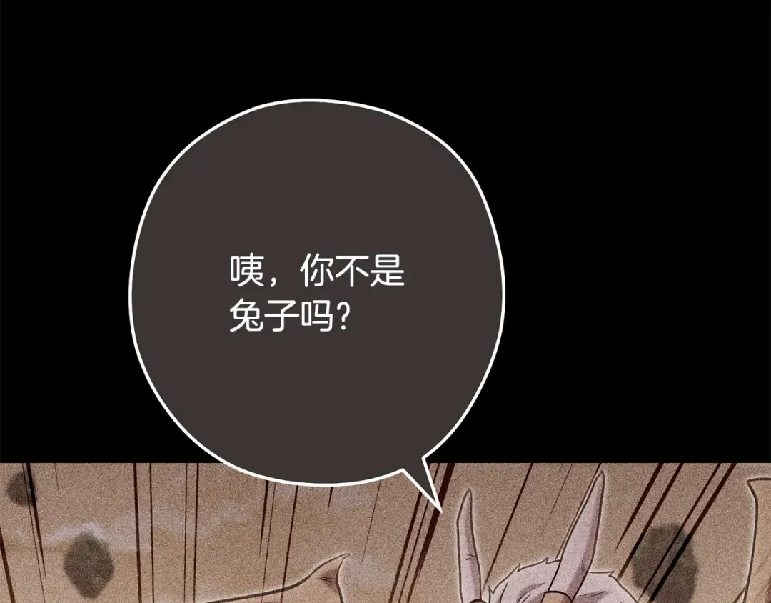 第253话 猎杀人类的魔女 第25页