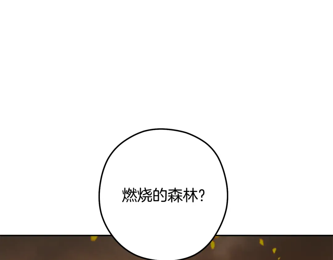 第254话 寻找魔女之屋 第237页