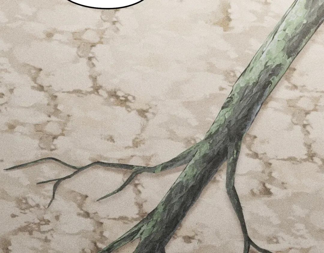 第260话 一切的缘由 第15页