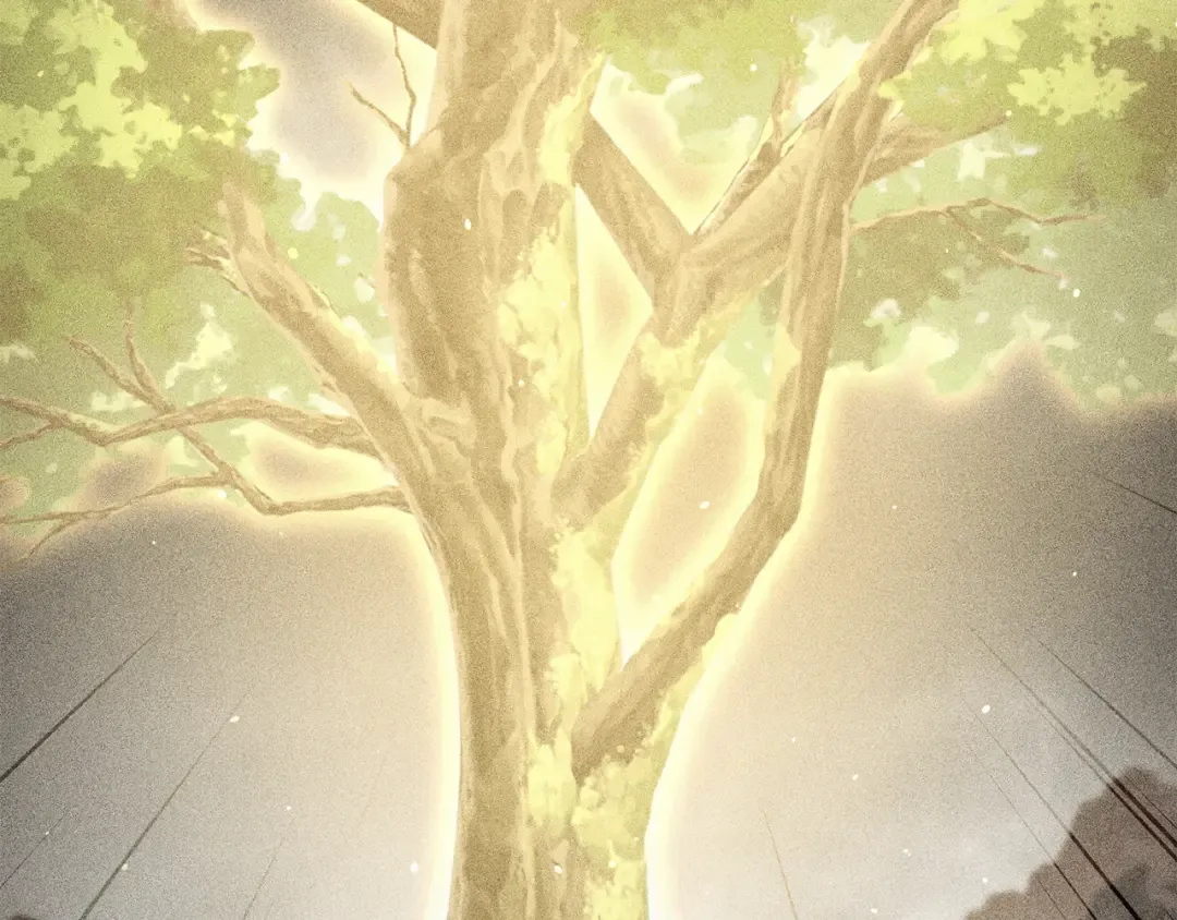 第260话 一切的缘由 第49页