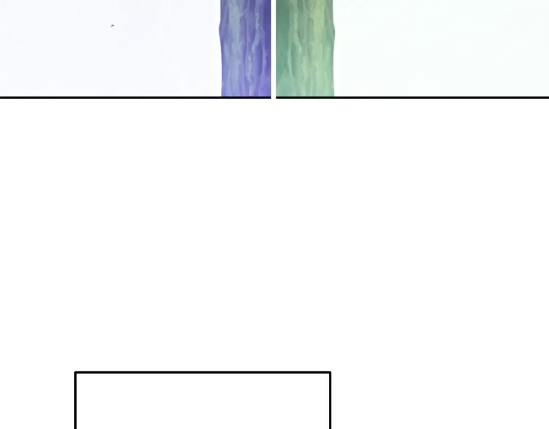 第260话 一切的缘由 第238页