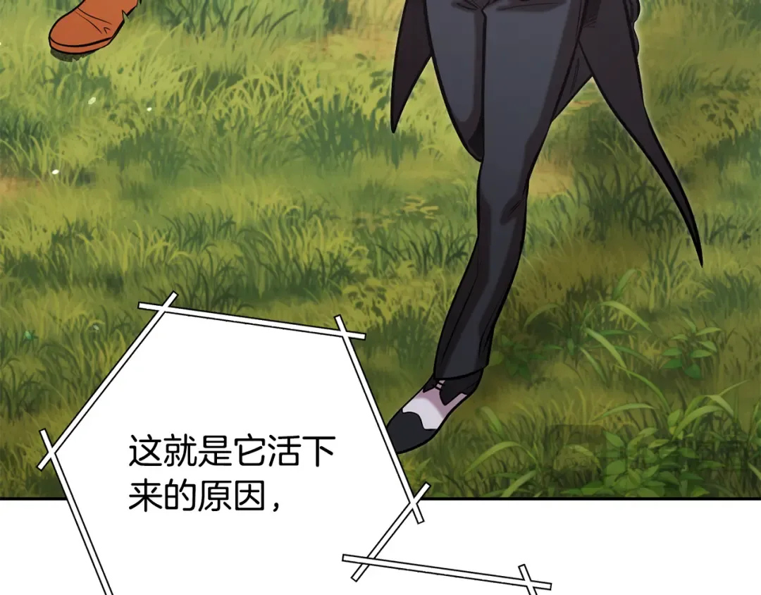 第264话 该回去了 第289页