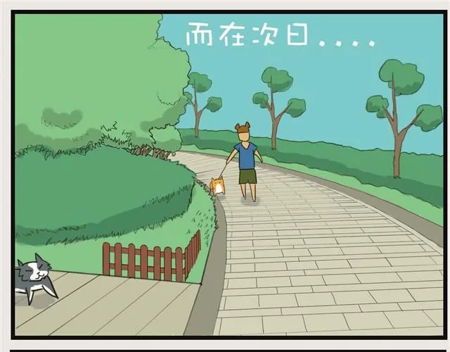 安妮学会握手了！ 第22页