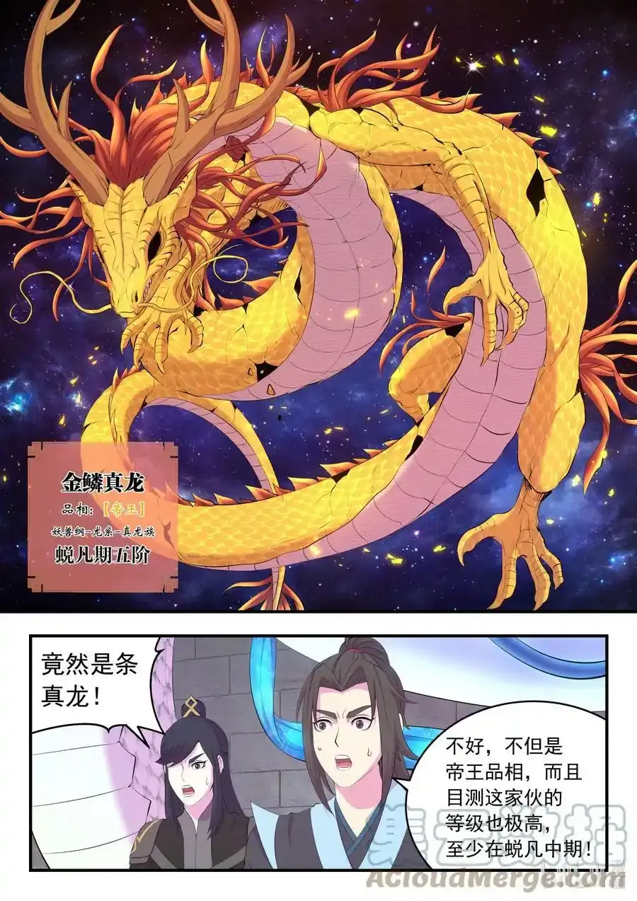 164 金鳞真龙 第7页