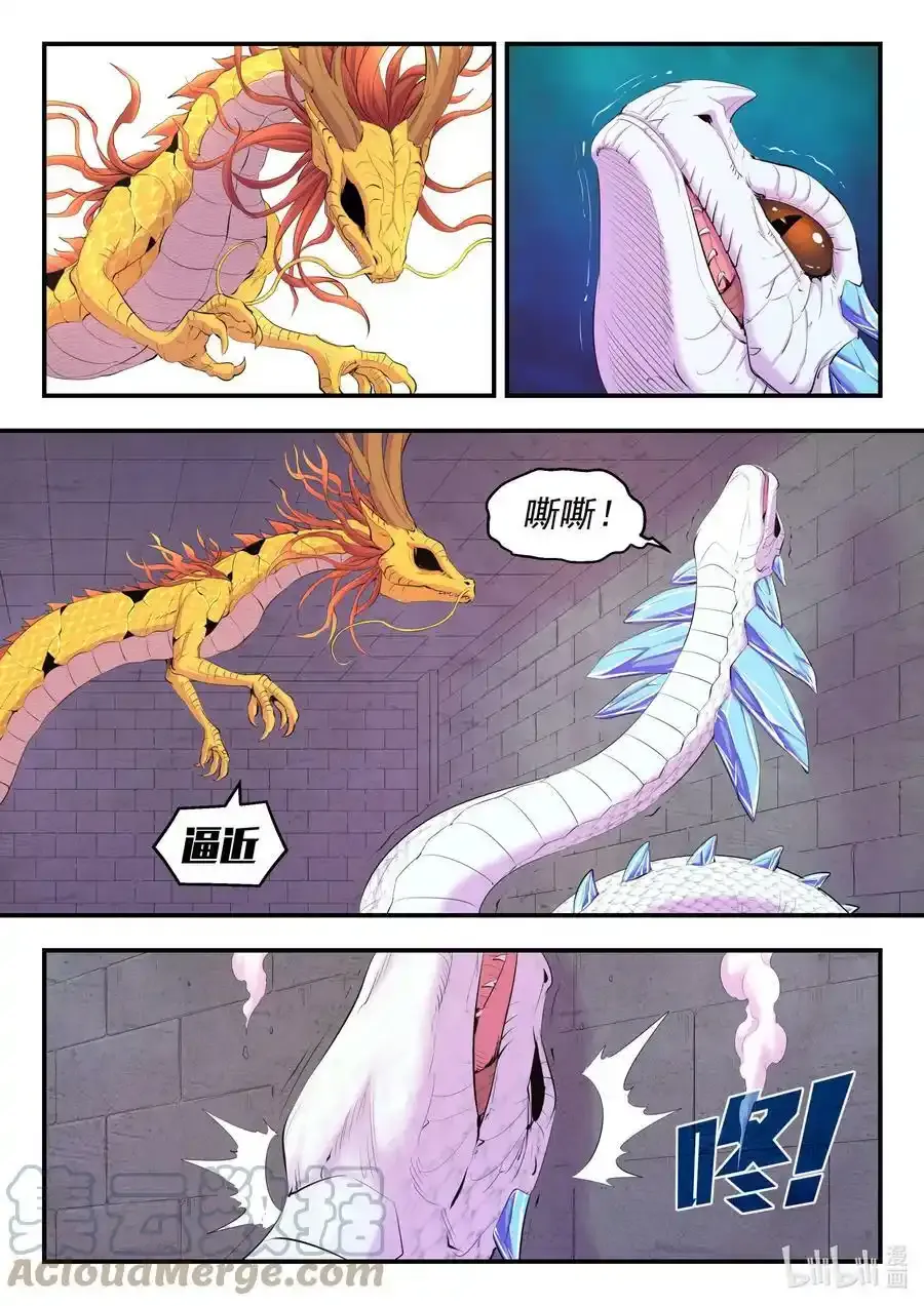 164 金鳞真龙 第15页