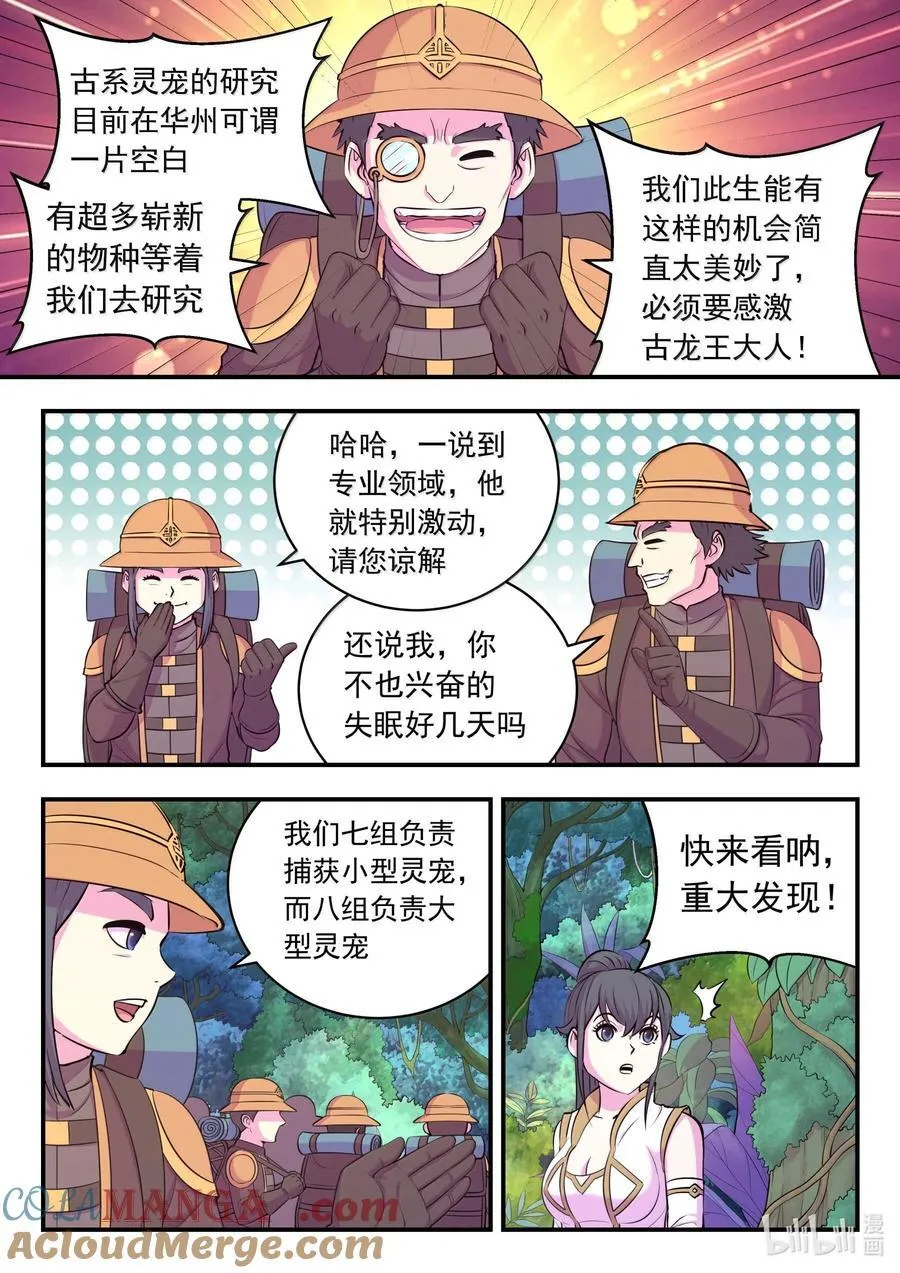 240 古龙秘境 第3页
