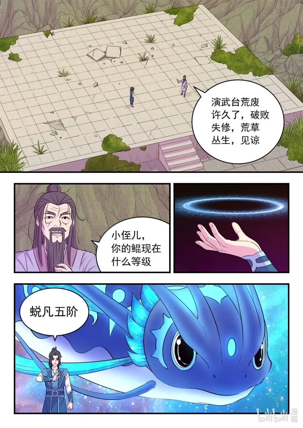 255 巅峰对决 第2页