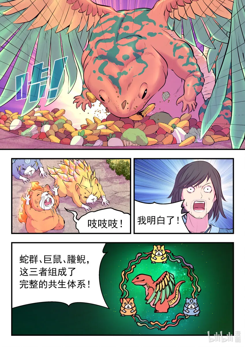 115 三族共生体系 第11页