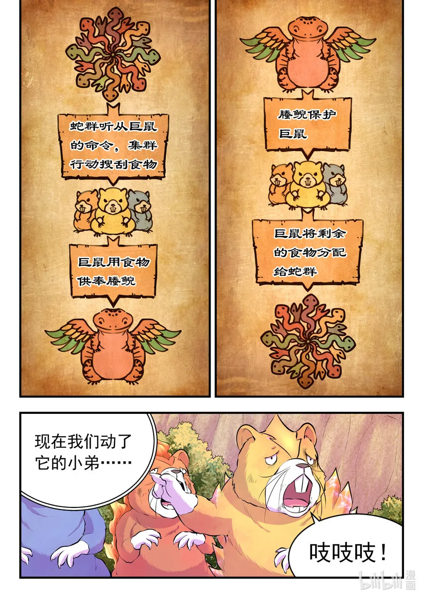 115 三族共生体系 第12页