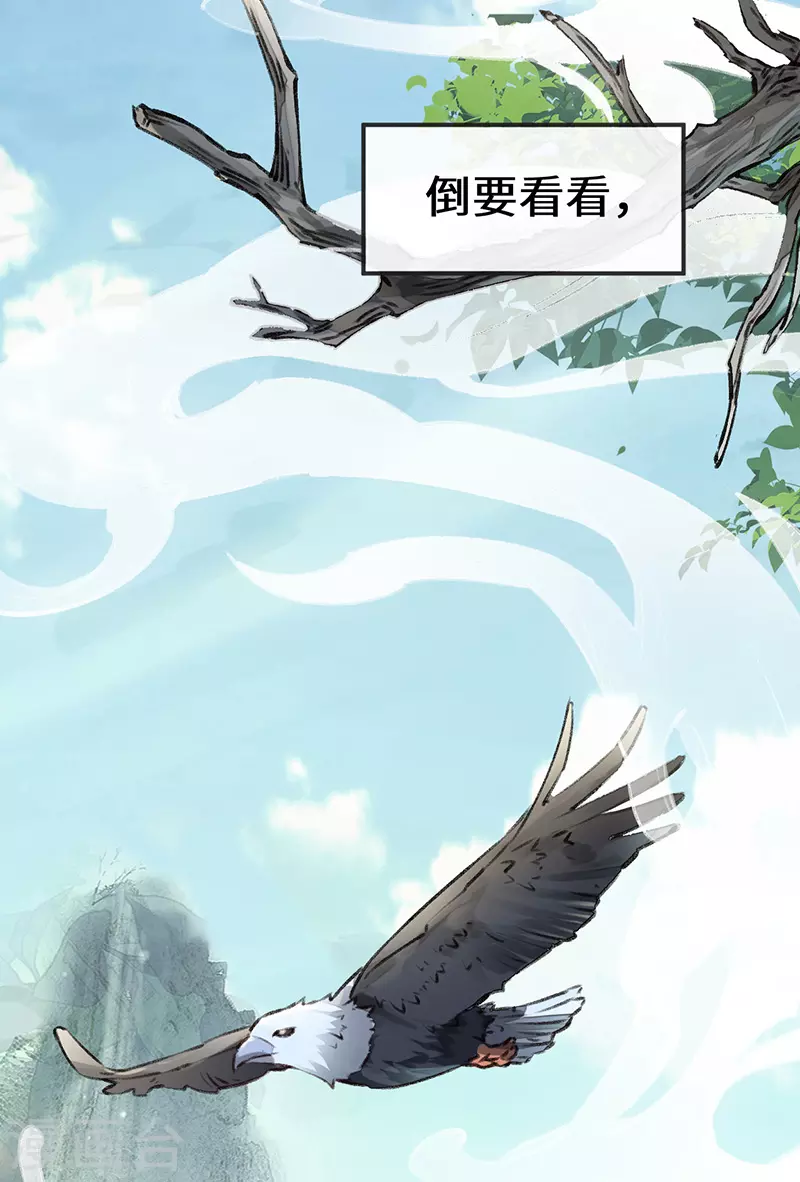 第63话 惊弓之“鸟” 第13页