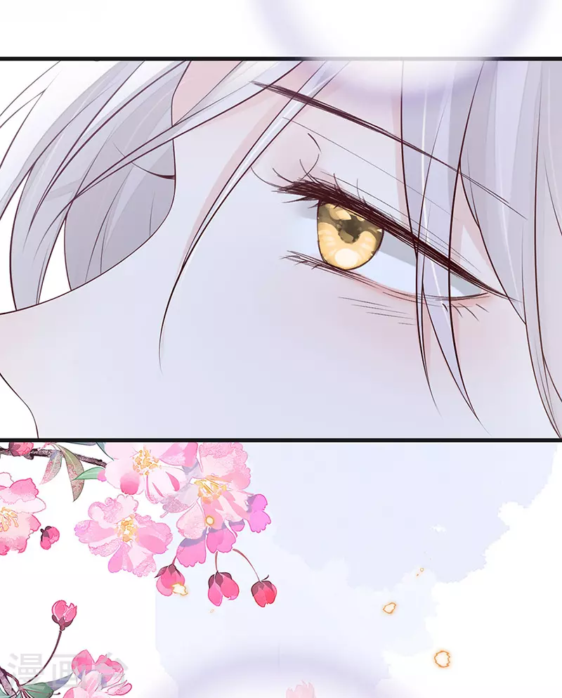 第72话 情深至极？ 第33页