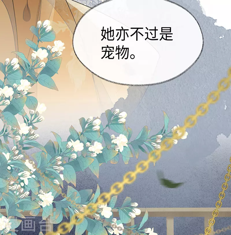 第104话 暴君之爱 第3页