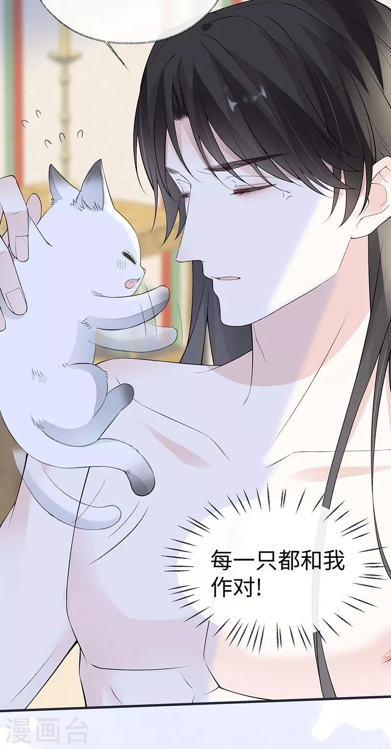 第179话猫咪踩奶 第4页