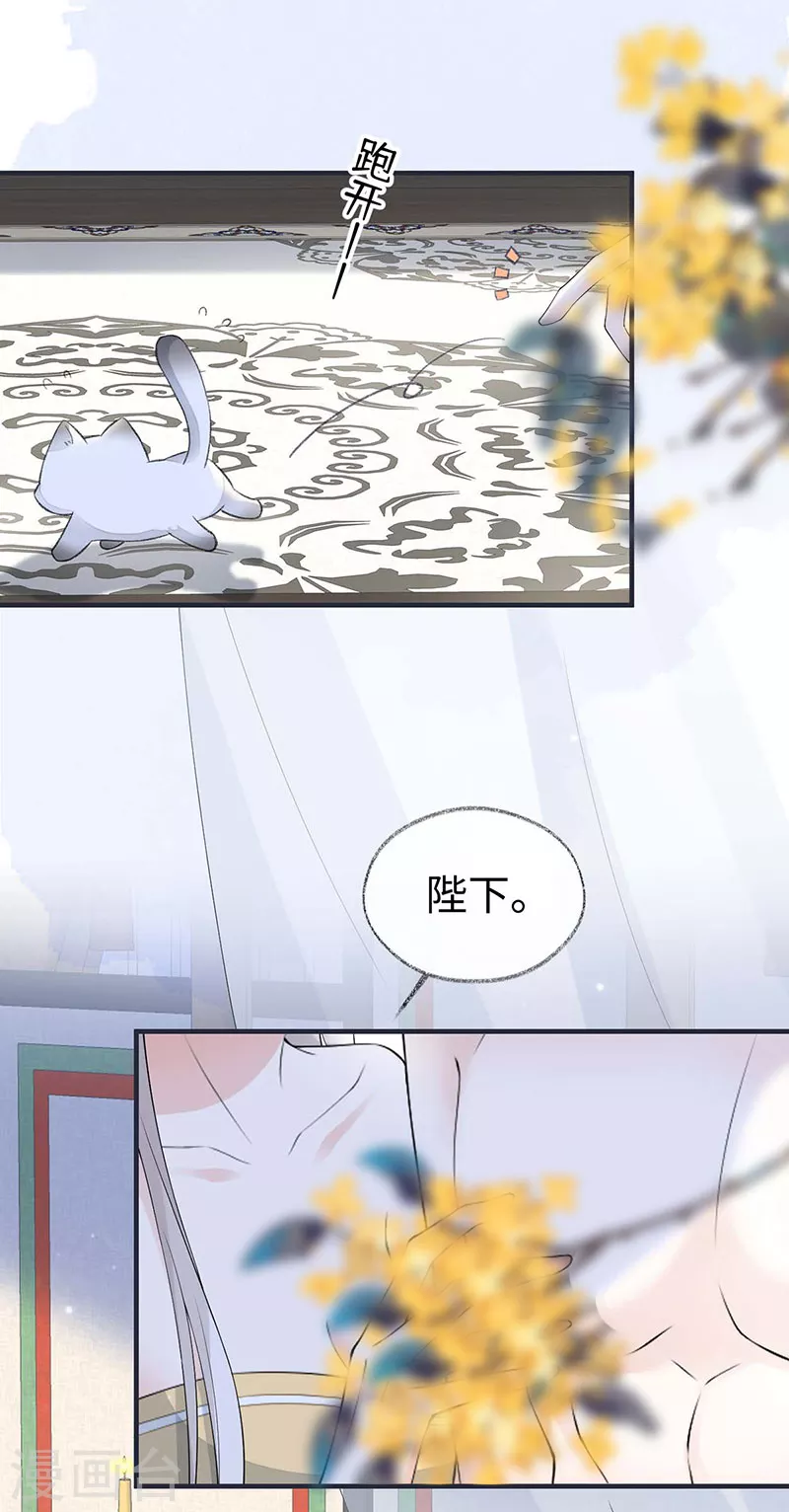 第179话猫咪踩奶 第5页