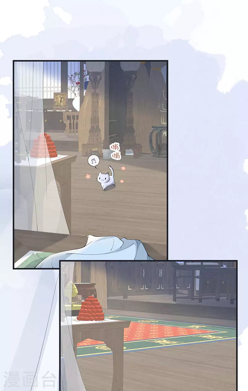 第179话猫咪踩奶 第11页