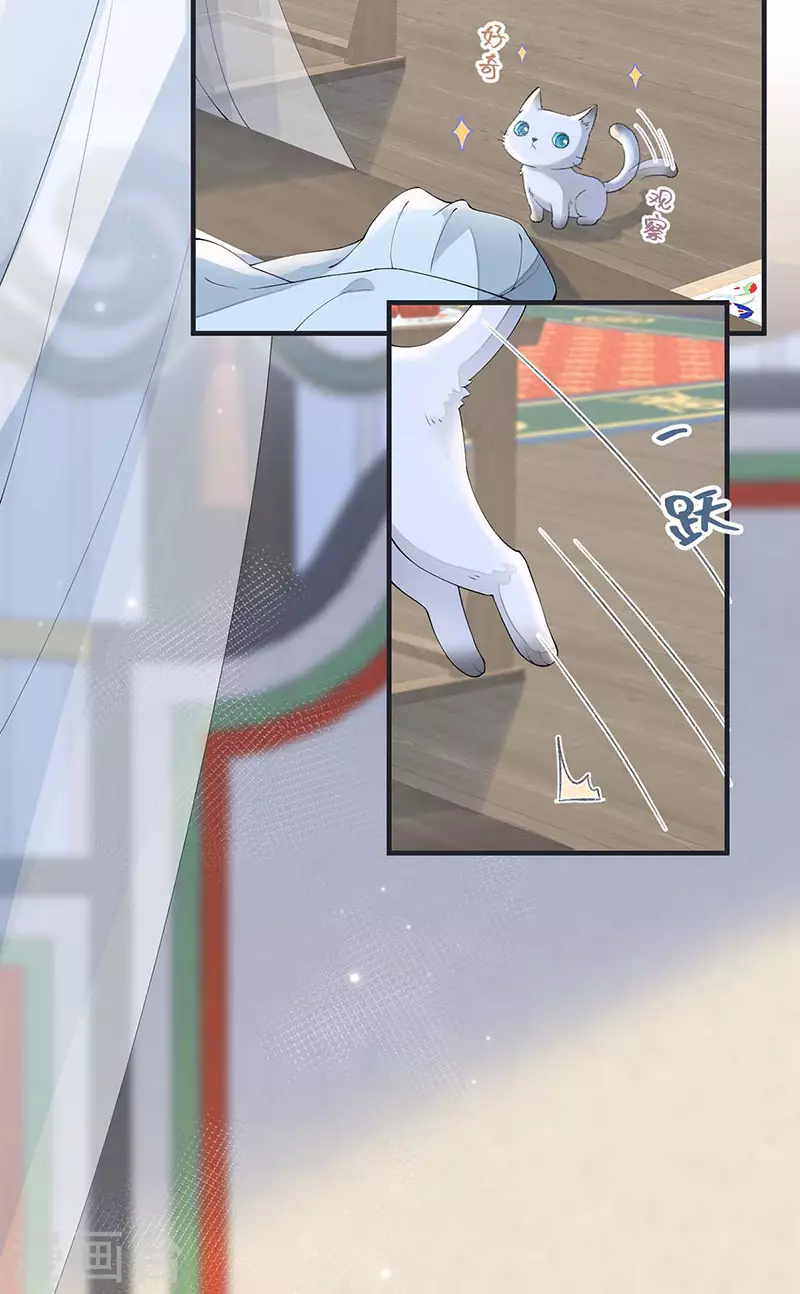 第179话猫咪踩奶 第12页