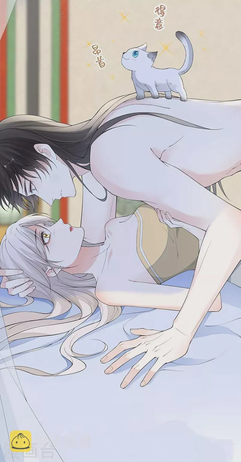 第179话猫咪踩奶 第13页
