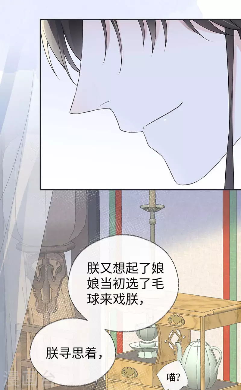 第179话猫咪踩奶 第18页