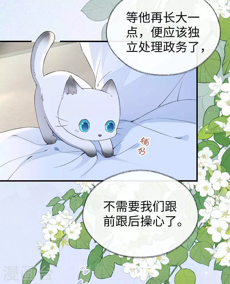 第179话猫咪踩奶 第28页