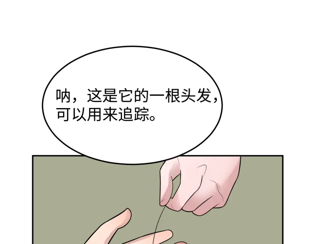 第194话 试探！ 第114页