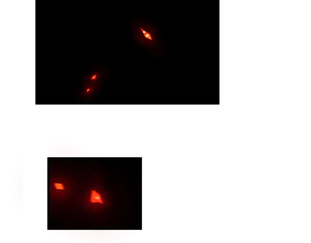 第525话 扶桑篇-毁灭与重生！ 第74页