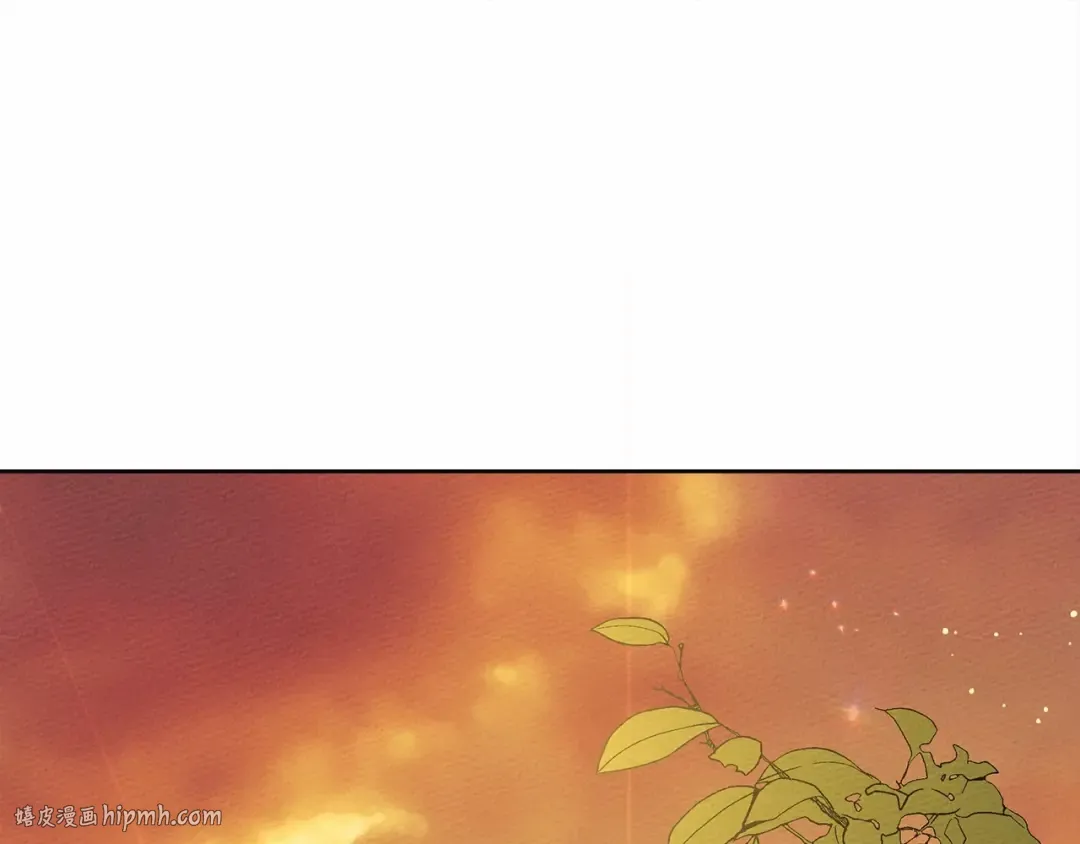 第7话 麦茜，这是我的领地 第208页