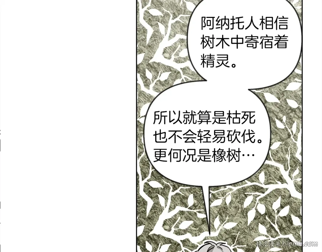 第18话 橡树下的传说 第104页
