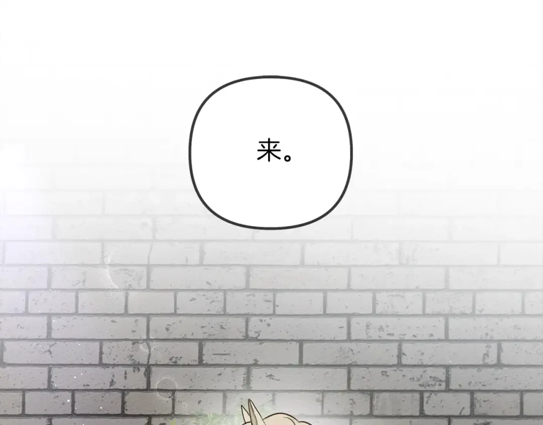 第29话 领主的礼物 第113页