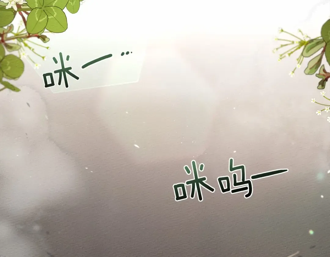 第46话 捡小猫猫 第63页