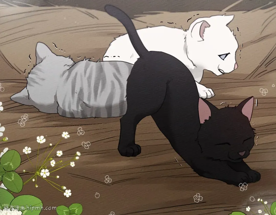 第46话 捡小猫猫 第64页