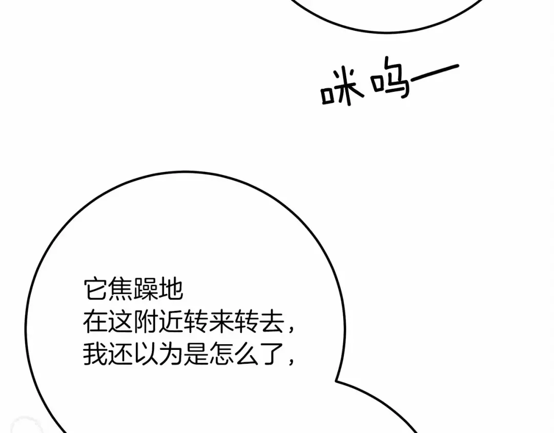 第46话 捡小猫猫 第69页