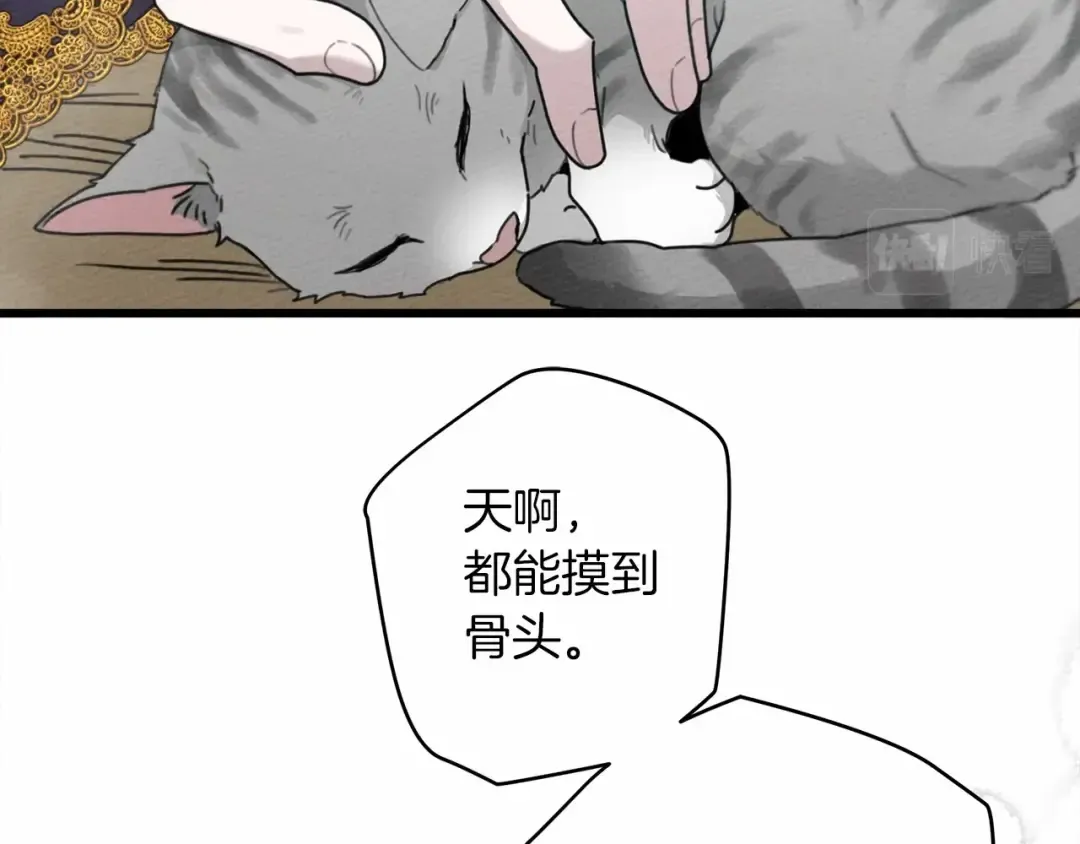 第46话 捡小猫猫 第74页