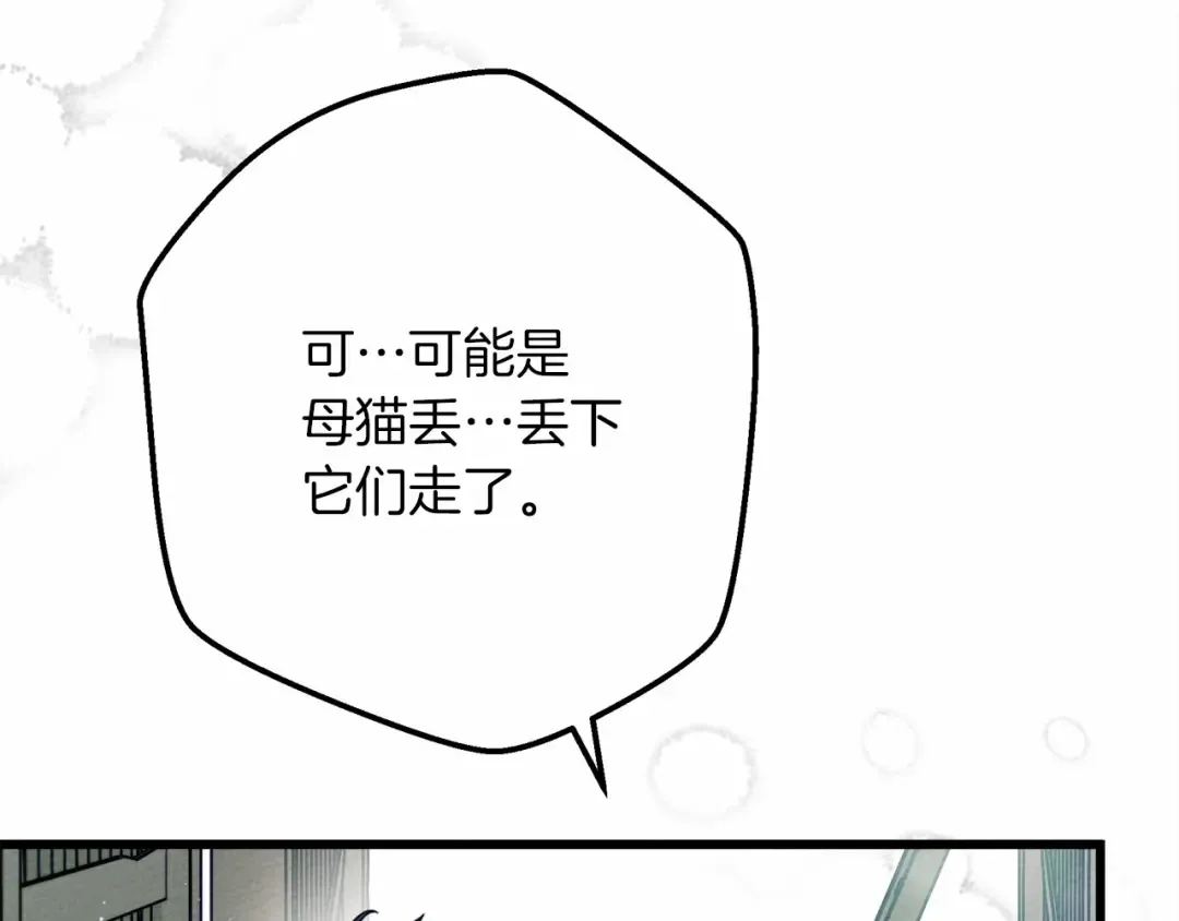 第46话 捡小猫猫 第76页