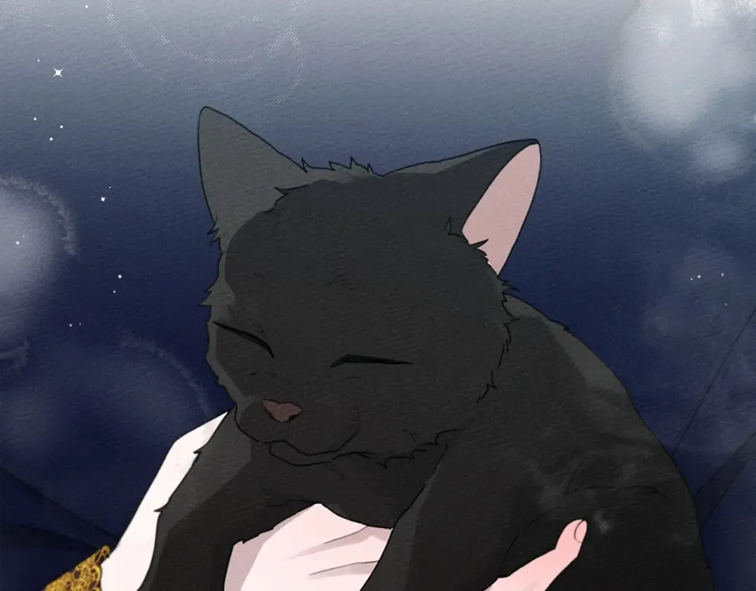 第46话 捡小猫猫 第92页