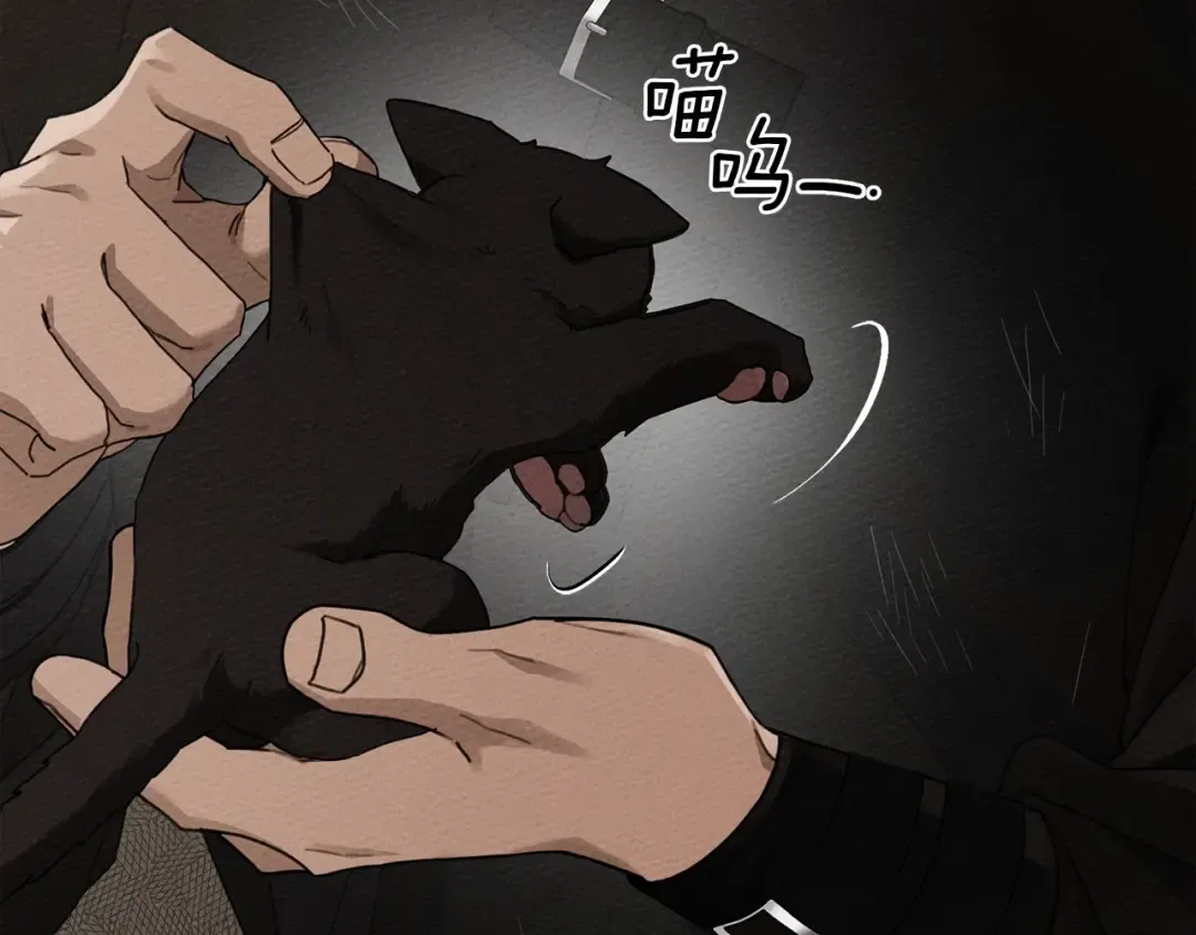 第46话 捡小猫猫 第159页