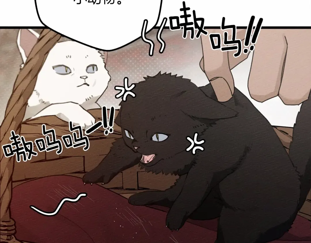 第46话 捡小猫猫 第166页