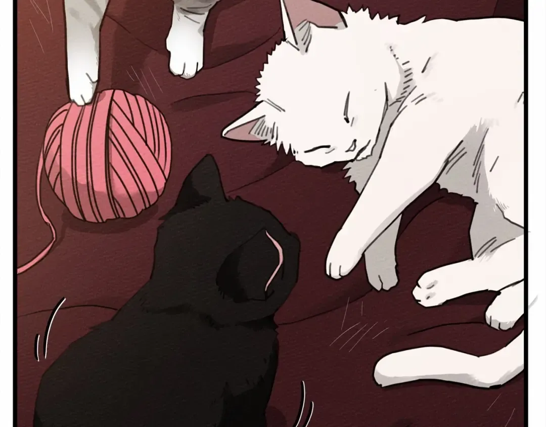 第46话 捡小猫猫 第173页