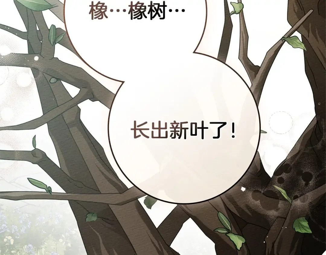 第78话 我要让你成为最尊贵的淑女 第83页