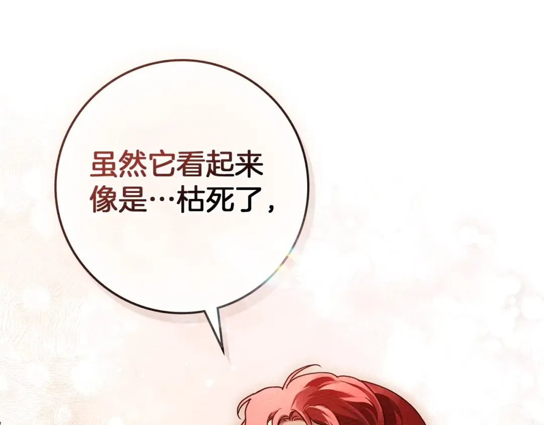 第78话 我要让你成为最尊贵的淑女 第91页