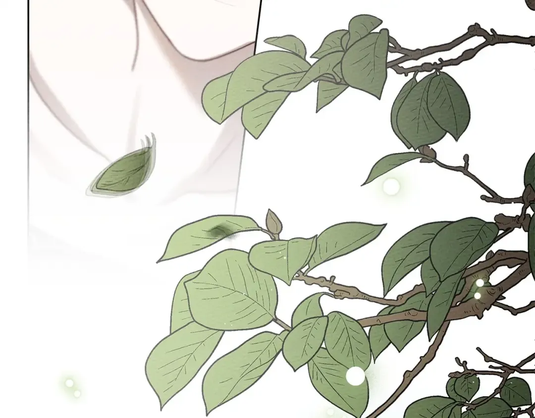 第三季完结话 我的妻子在干什么？ 第227页