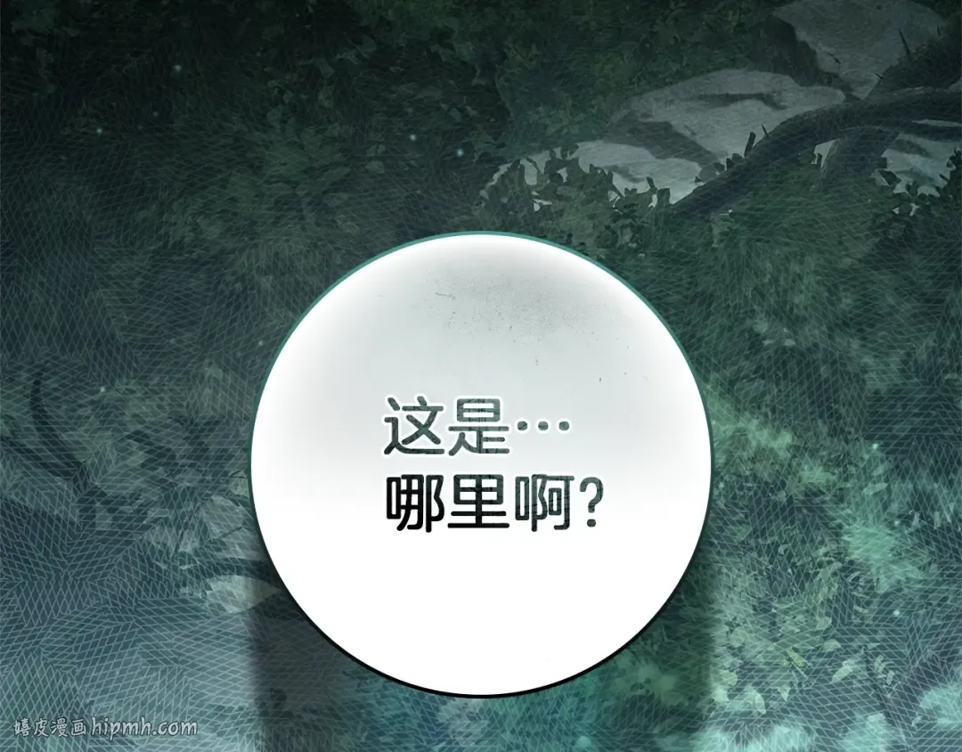 第101话 孤身一人 第208页