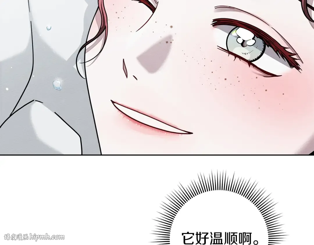 第102话 神秘白马 第144页
