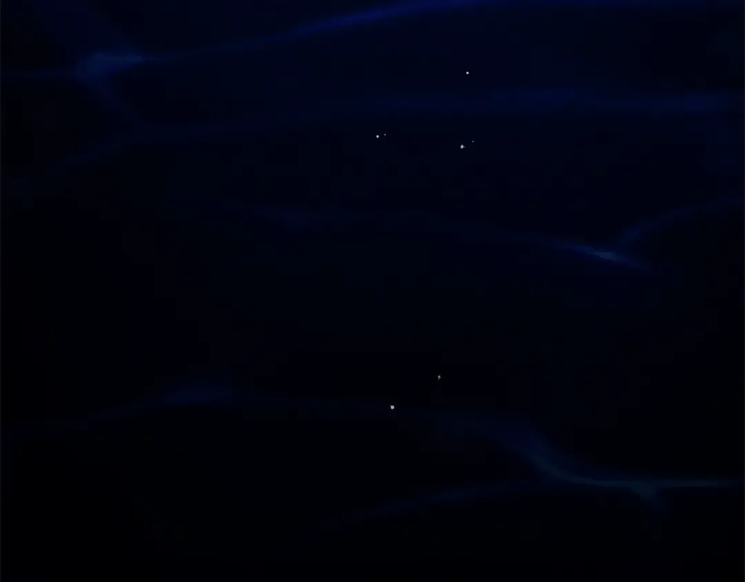 第102话 神秘白马 第177页