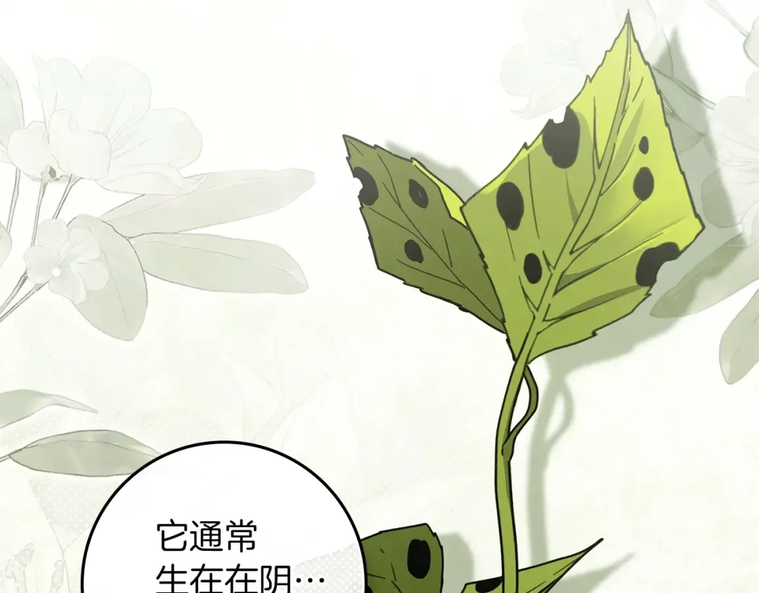 第117话 止疫良方 第14页