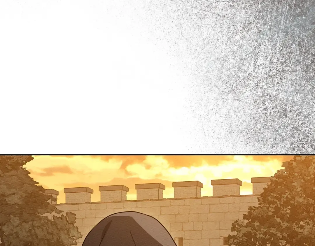 第124话 骑士解围 第114页