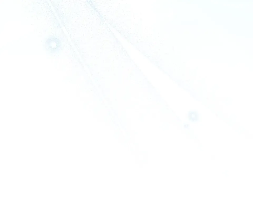 第五季·第126话 我只是想陪在你身边 第178页